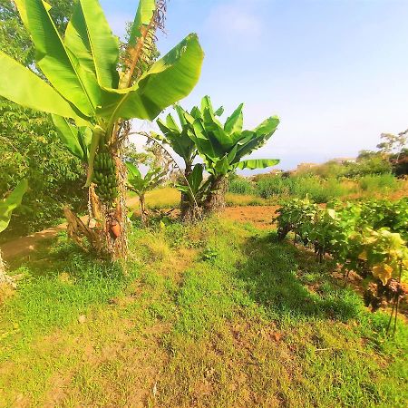 Casa En Finca Ecologica - Wifi La Orotava Eksteriør bilde