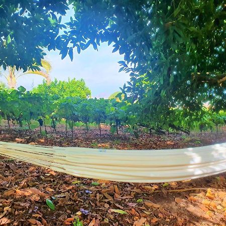 Casa En Finca Ecologica - Wifi La Orotava Eksteriør bilde