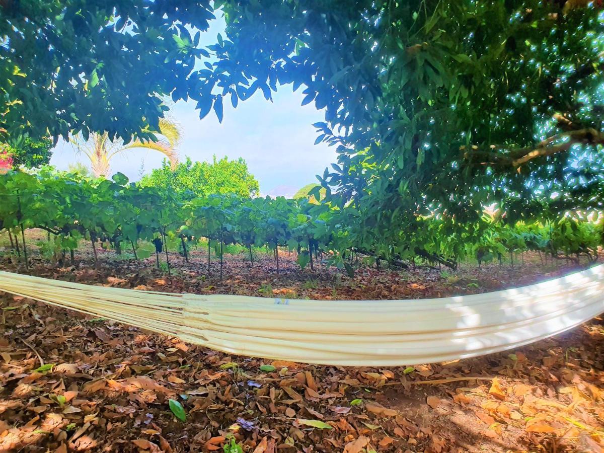 Casa En Finca Ecologica - Wifi La Orotava Eksteriør bilde