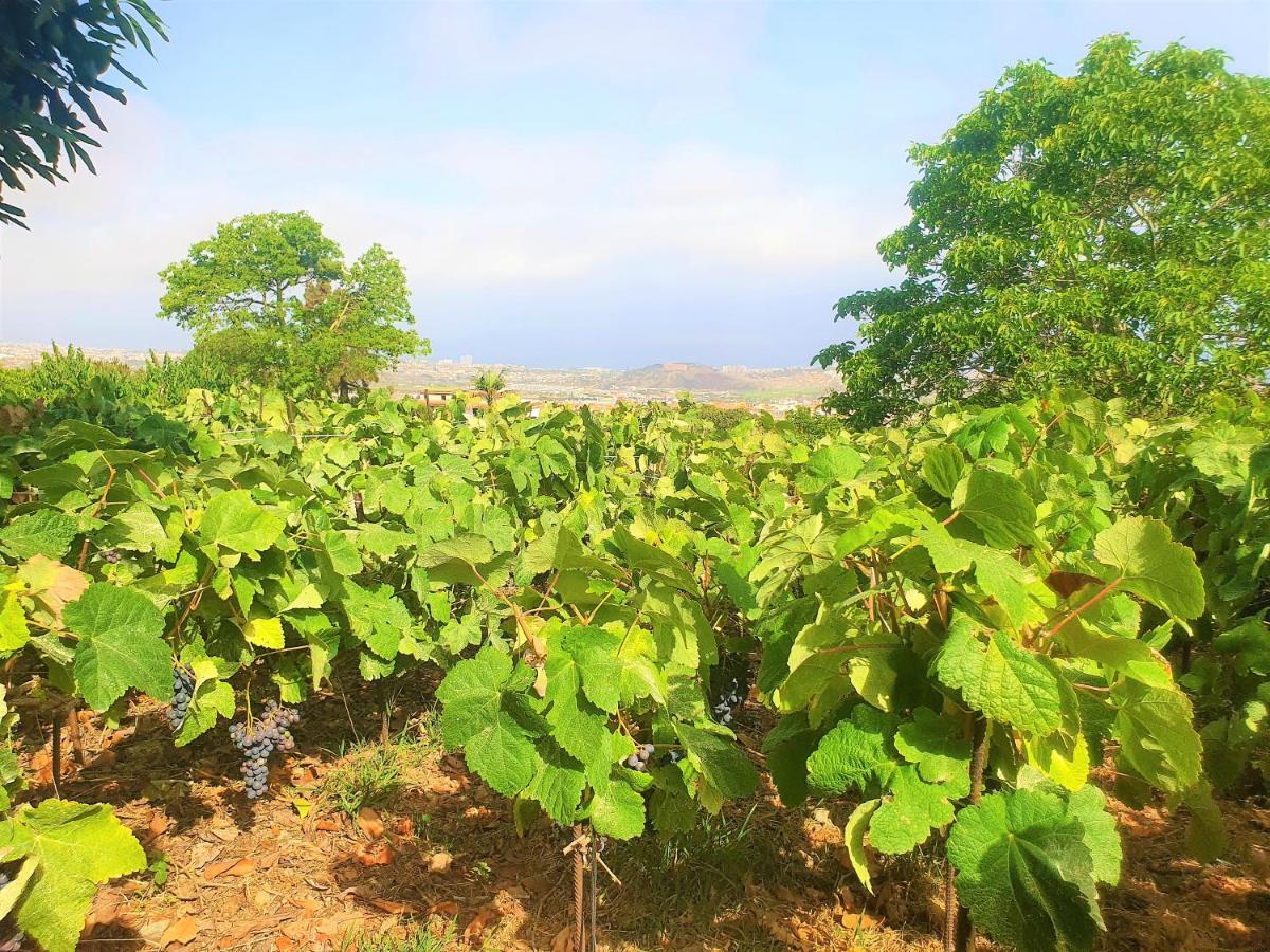 Casa En Finca Ecologica - Wifi La Orotava Eksteriør bilde