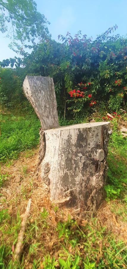Casa En Finca Ecologica - Wifi La Orotava Eksteriør bilde