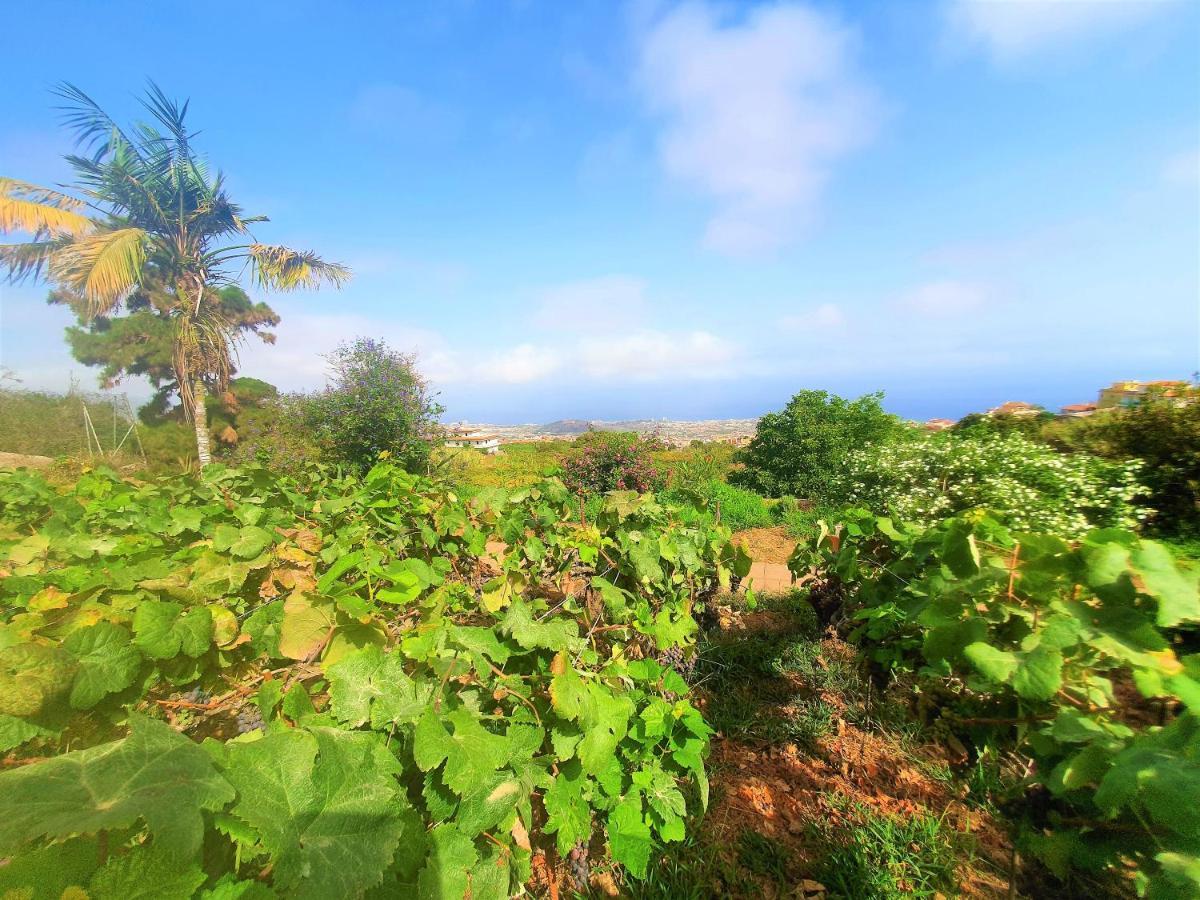 Casa En Finca Ecologica - Wifi La Orotava Eksteriør bilde