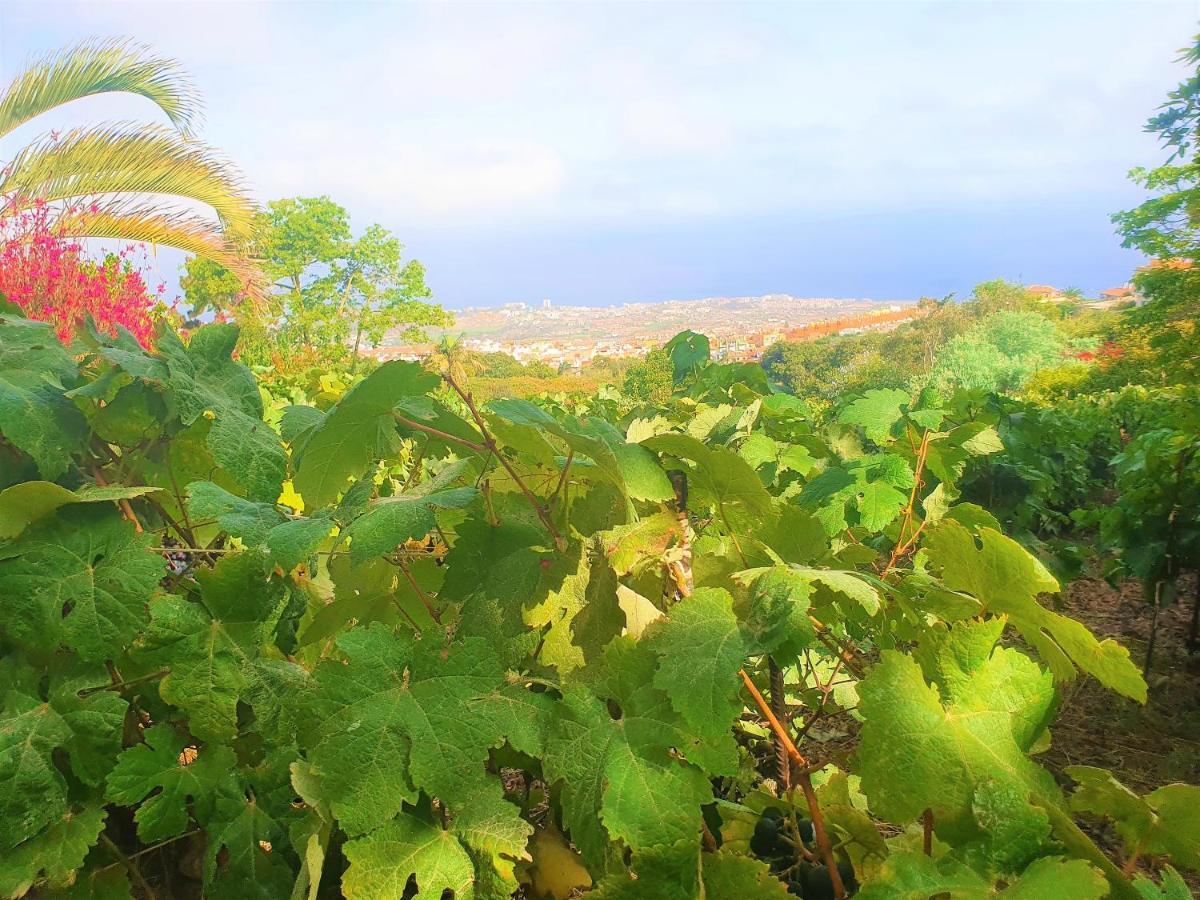 Casa En Finca Ecologica - Wifi La Orotava Eksteriør bilde