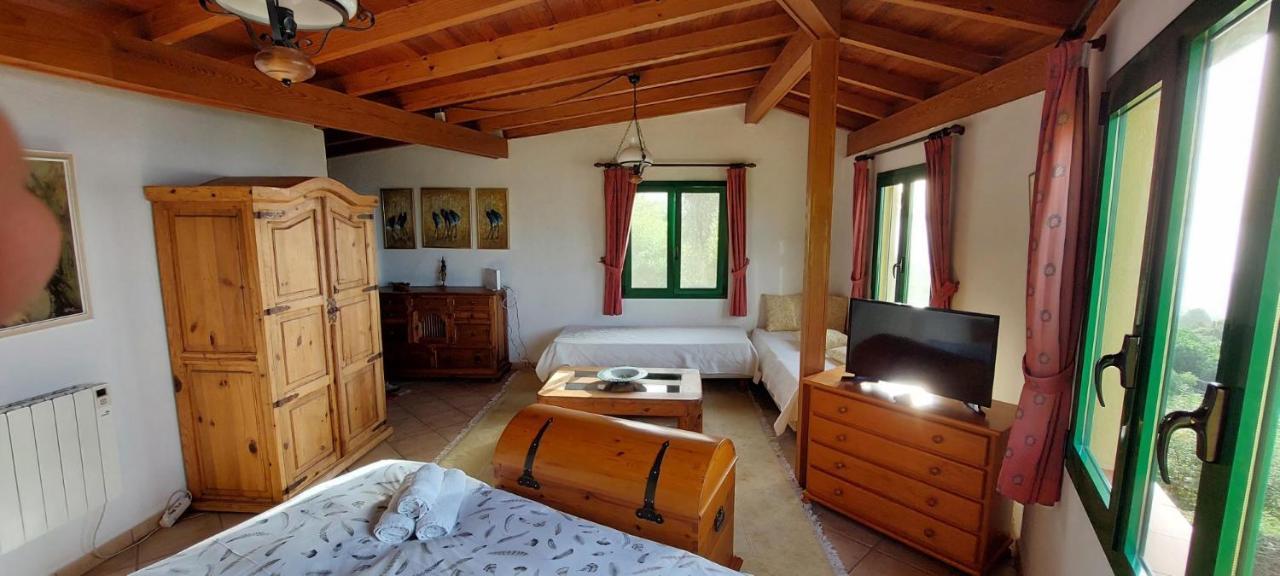 Casa En Finca Ecologica - Wifi La Orotava Eksteriør bilde