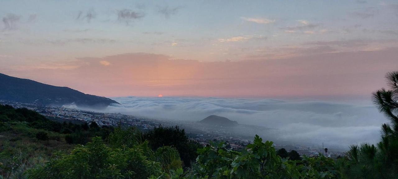 Casa En Finca Ecologica - Wifi La Orotava Eksteriør bilde