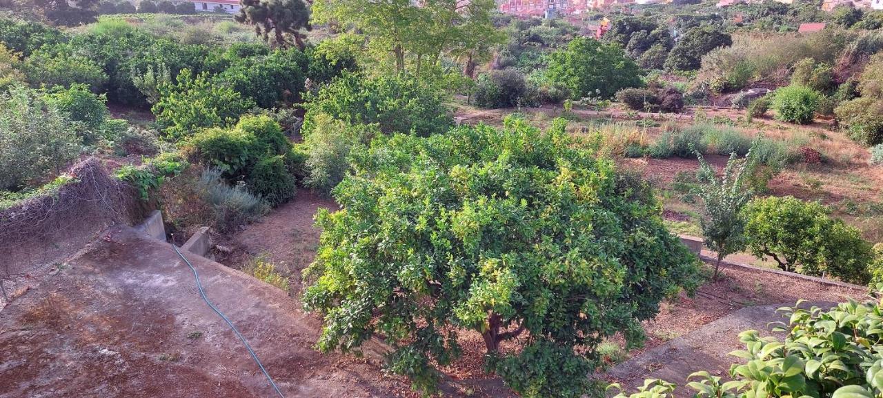 Casa En Finca Ecologica - Wifi La Orotava Eksteriør bilde