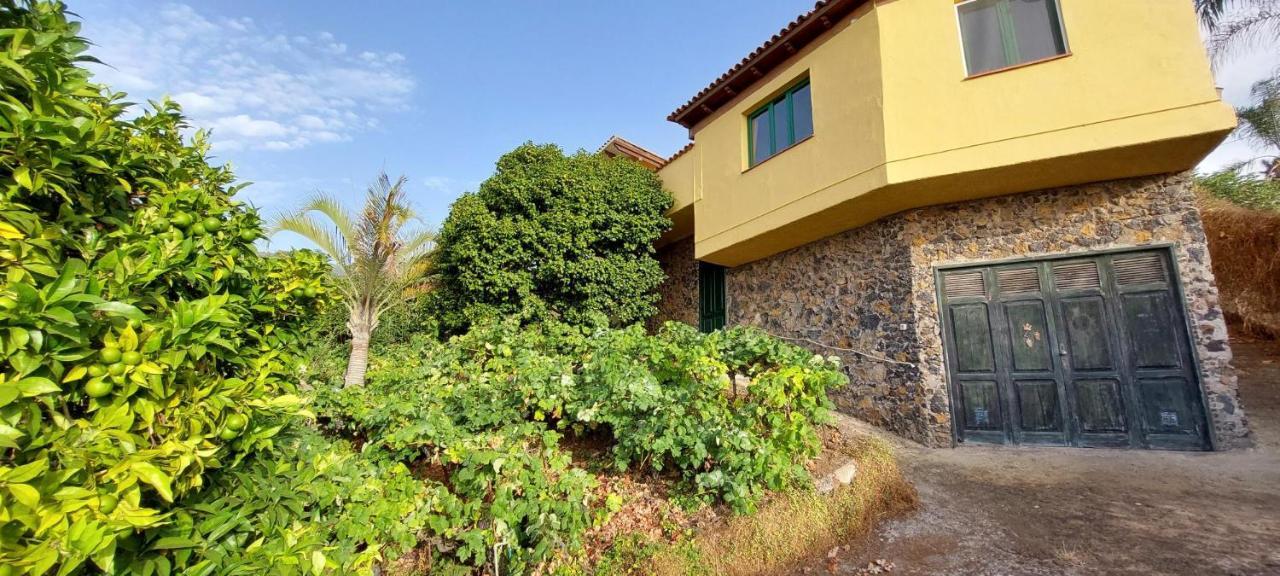 Casa En Finca Ecologica - Wifi La Orotava Eksteriør bilde
