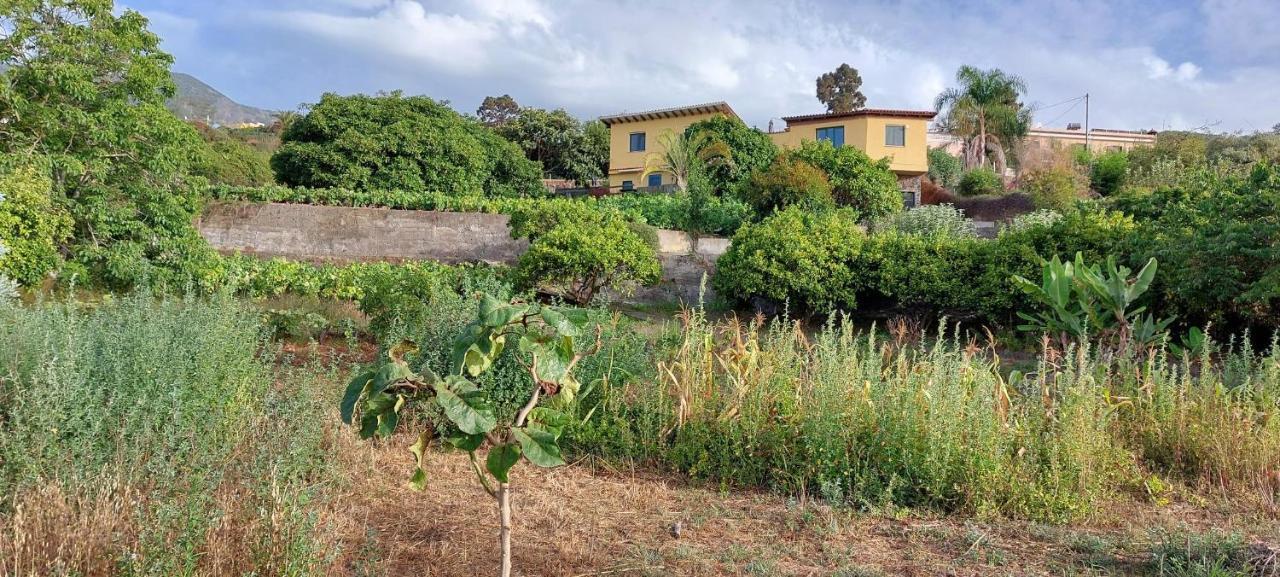 Casa En Finca Ecologica - Wifi La Orotava Eksteriør bilde