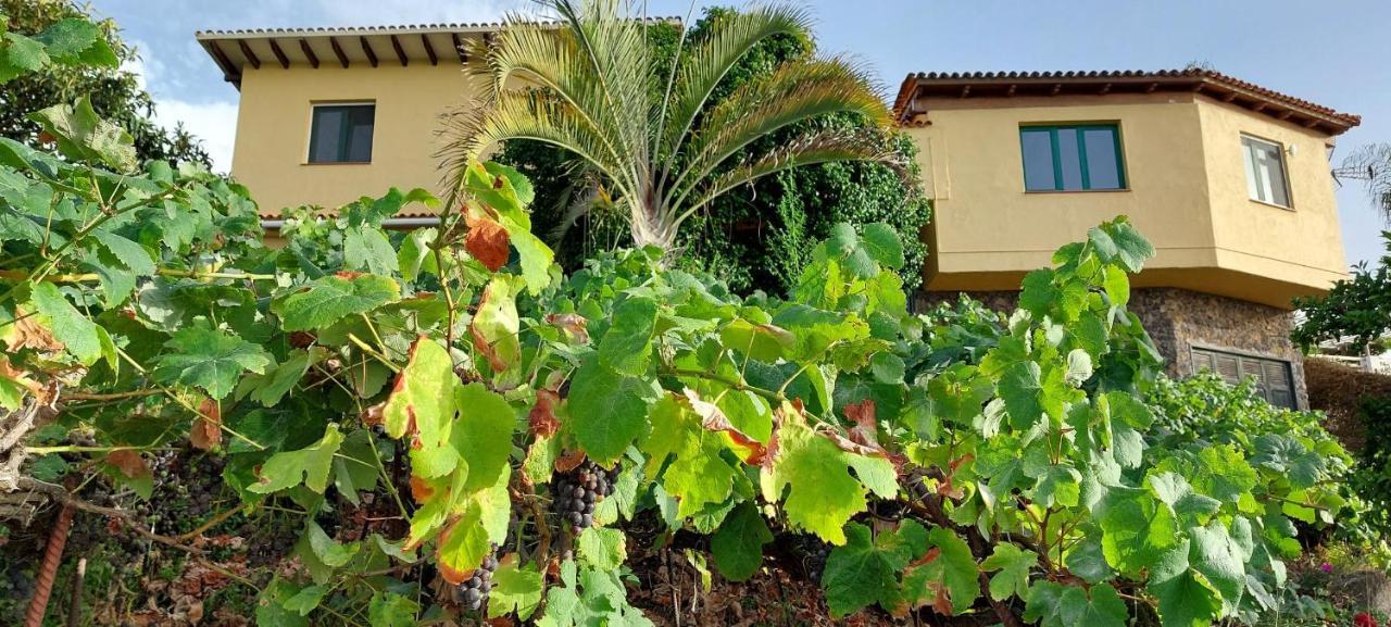 Casa En Finca Ecologica - Wifi La Orotava Eksteriør bilde