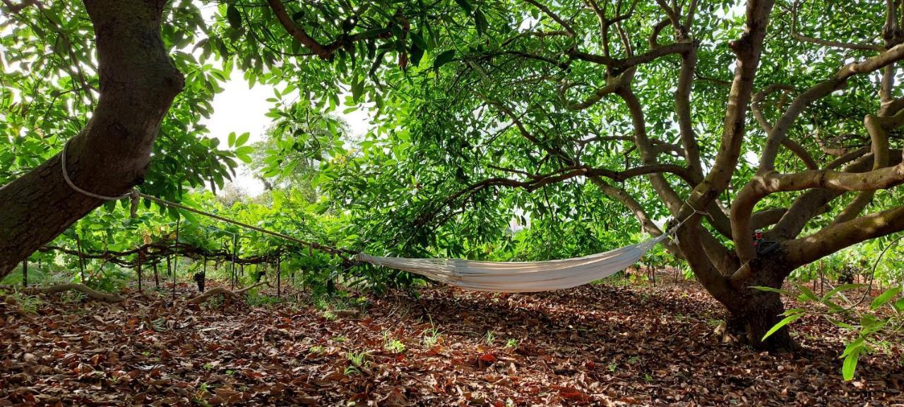 Casa En Finca Ecologica - Wifi La Orotava Eksteriør bilde